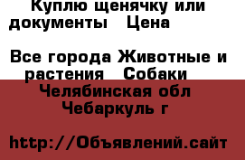Куплю щенячку или документы › Цена ­ 3 000 - Все города Животные и растения » Собаки   . Челябинская обл.,Чебаркуль г.